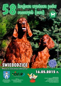 11149474_761760387255704_6420825540684088212_n